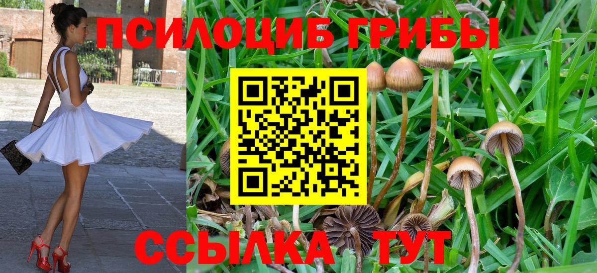 Псилоцибиновые грибы Cubensis  Псилоцибиновые грибы Psilocybe  Нефтеюганск  Вход с VPN 
